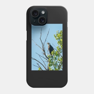 Bald Eagle Phone Case