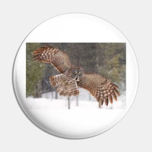 Awesome! - Great Grey Owl Pin