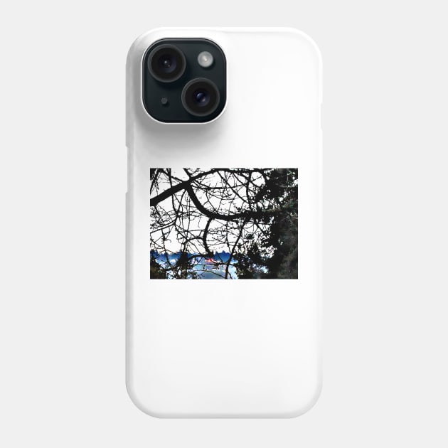 Spider Tree over Puget Sound Phone Case by trotterearthwin