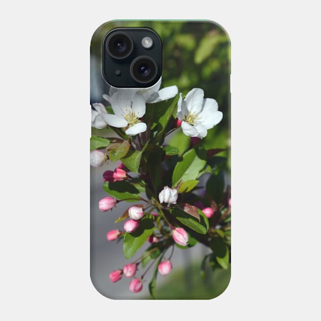 Crabapple Flowers Phone Case by Drgnfly4free