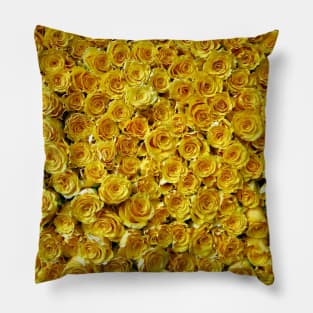 Yellow Roses Pillow