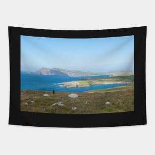 Dingle peninsula, Kerry, Ireland. Tapestry