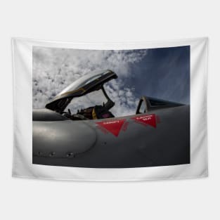 RAF Lightning Tapestry