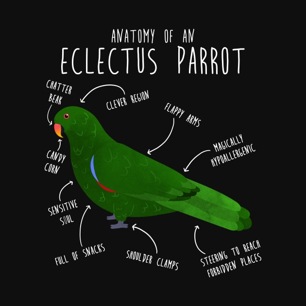 Male Eclectus Anatomy by Psitta
