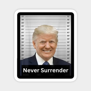 Never Surrender, President 2024 Trump Mugshot Magnet