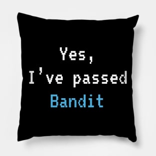 Passed BANDIT (White W Blue): A Cybersecurity Design Pillow