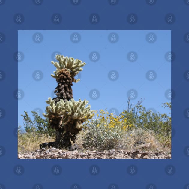 Cactus and Yellow Flowers in the rocky Desert by Christine aka stine1