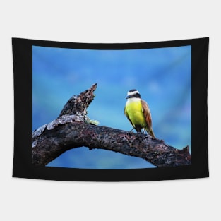 Kiskadee With Yellow Chest Photography Tapestry