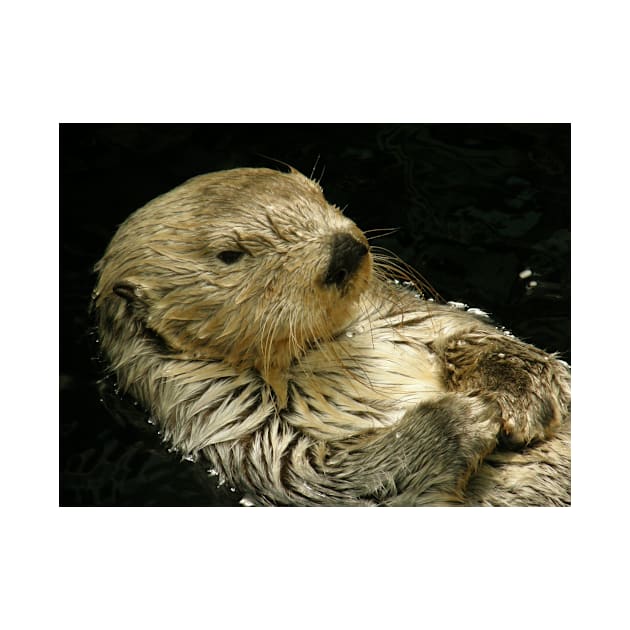 Sea Otter by kawaii_shop