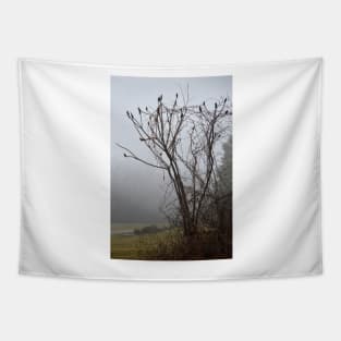 Sumac in fog Tapestry