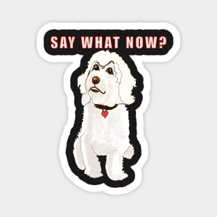 Say what now ? Cavapoo Cavoodle  Cavapoochon white attitude - cute cavalier King Charles spaniel Bichon frise Magnet