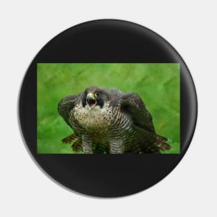 The Peregrine Falcon Pin