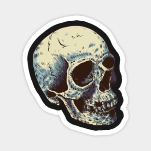 Skull Magnet