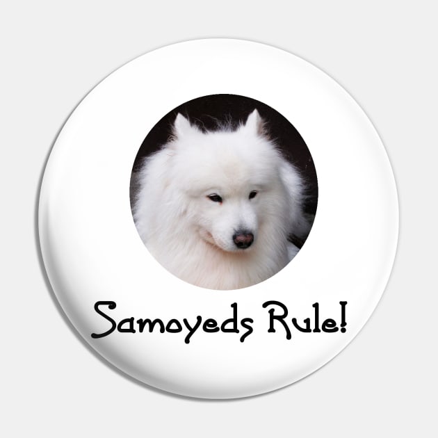 Samoyeds Rule! Pin by Naves