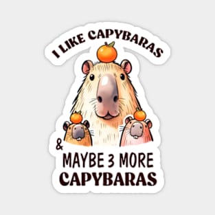 I Like Capybaras & Maybe 3 More Capybaras Magnet