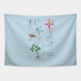 Columbine Botanical -blue Tapestry