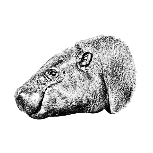 Pygmy hippopotamus by Guardi