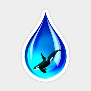 Water Drop and Orca Magnet