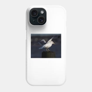 Gull in the Spotlight Phone Case