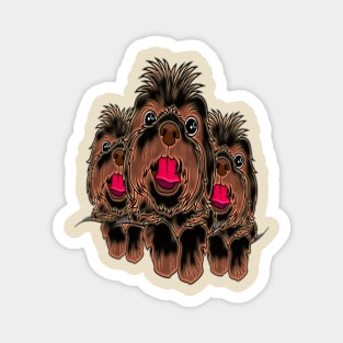 Mosaic of three Yorkie Poo dogs in black and brown colors with their tongues sticking out. Magnet