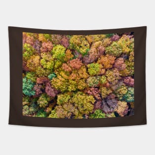 Aerial view of colorful autumn forest Tapestry