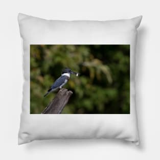 Belted Kingfisher with fish Pillow