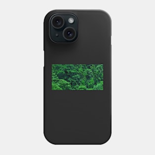 Jungle View, Jarasal bajo, Puriscal, Costa Rica Phone Case