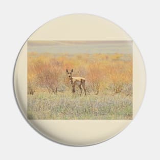 Wildlife gifts, pronghorn, nature, wild animals Pin