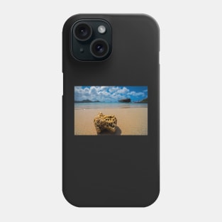 Coral on Gros Islet Beach Saint Lucia Caribbean Phone Case