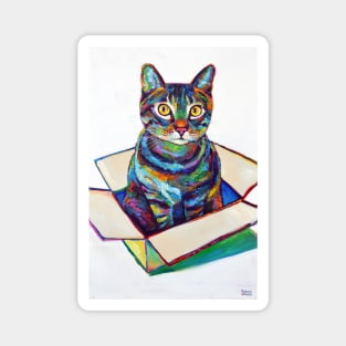 Cute CAT IN A BOX Magnet