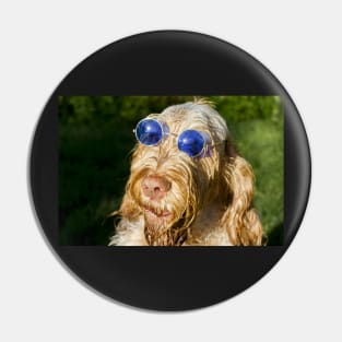 Blue Glasses Spinone Pin