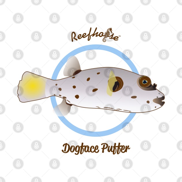 Dogface Puffer by Reefhorse