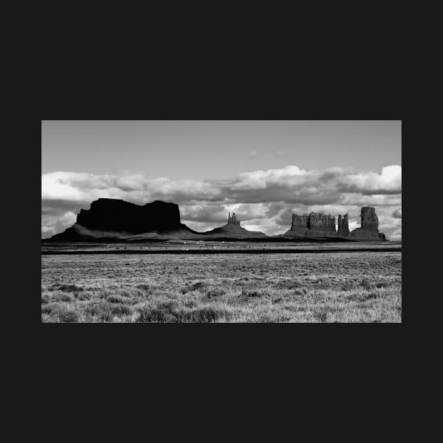 Monument Valley by briankphoto