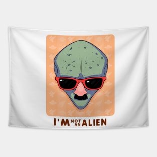 I'm not an alien Tapestry