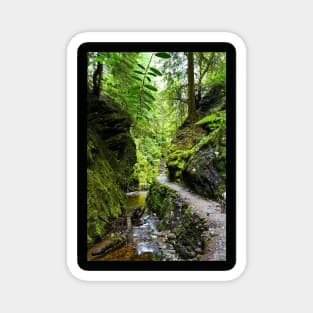 Puck's Glen, Scotland Magnet