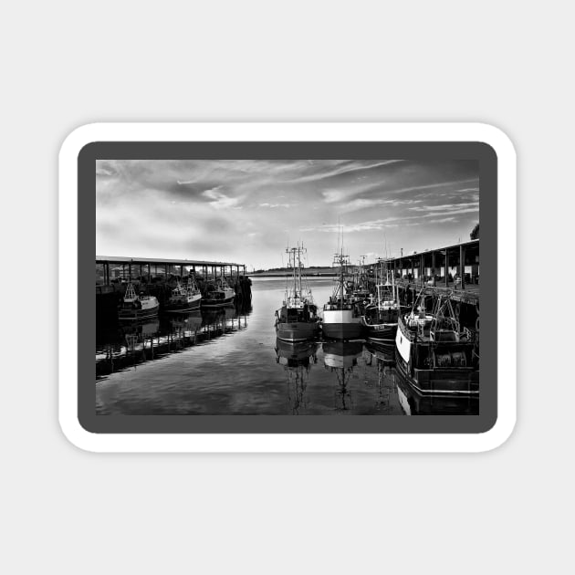 North Shields Fish Quay Magnet by Violaman