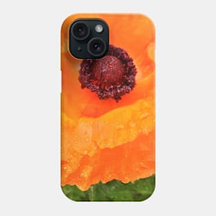 Beautiful Orange Poppy  - Early Spring Blooms Phone Case