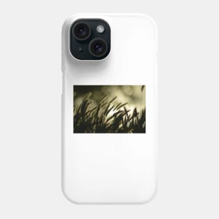 Dusk Phone Case