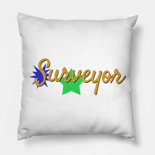 Surveyor Pillow