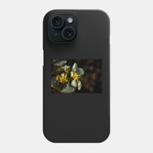 HDR Pear Blossom Phone Case