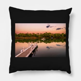 The rare, amphibious unicorn of Pineios river Pillow