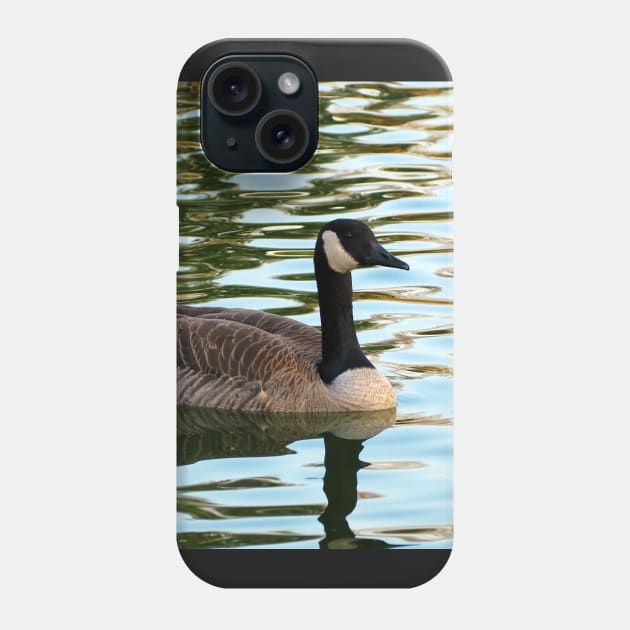 Canada Goose Swimming Phone Case by BackyardBirder