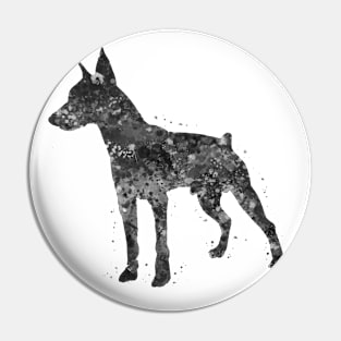 Doberman dog black and white Pin