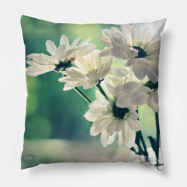 Simplicity Pillow by micklyn