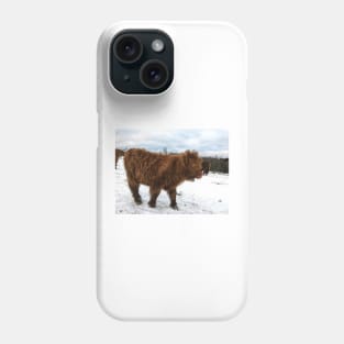 Scottish Highland Cattle Calf 1610 Phone Case