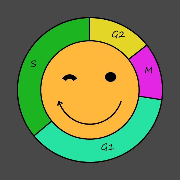 Cell cycle by CellGrowth