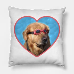 Swimming Goggle Dog Pillow