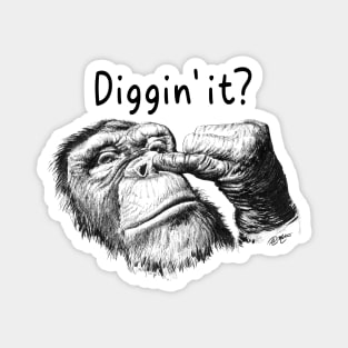 diggin' it? funny design monkey funny saying Magnet