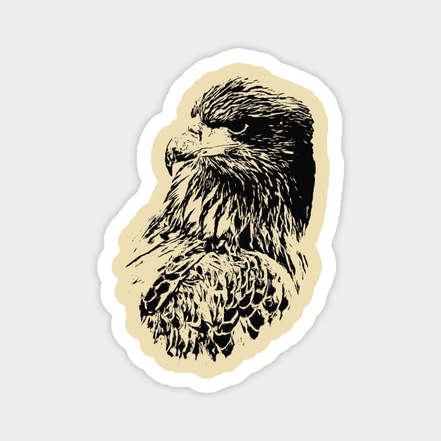 Eagle portrait Magnet by Guardi