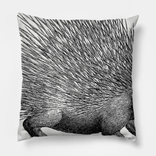 Vintage Hedgehog Porcupine Illustration Pillow